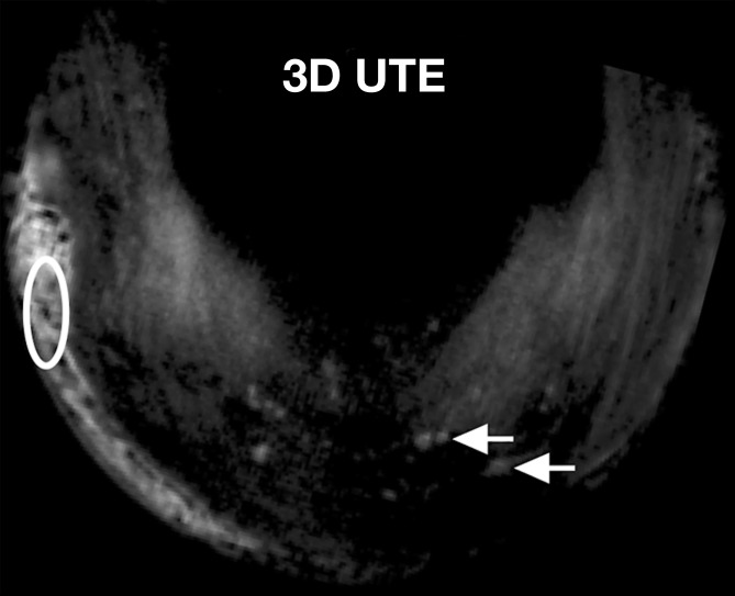 Figure 7a: