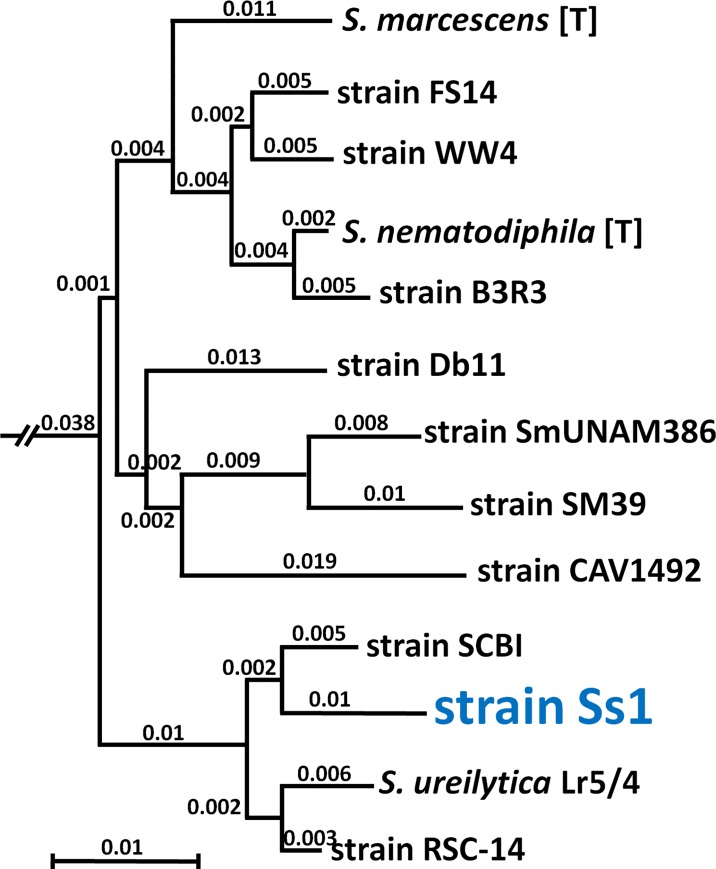 Fig 5