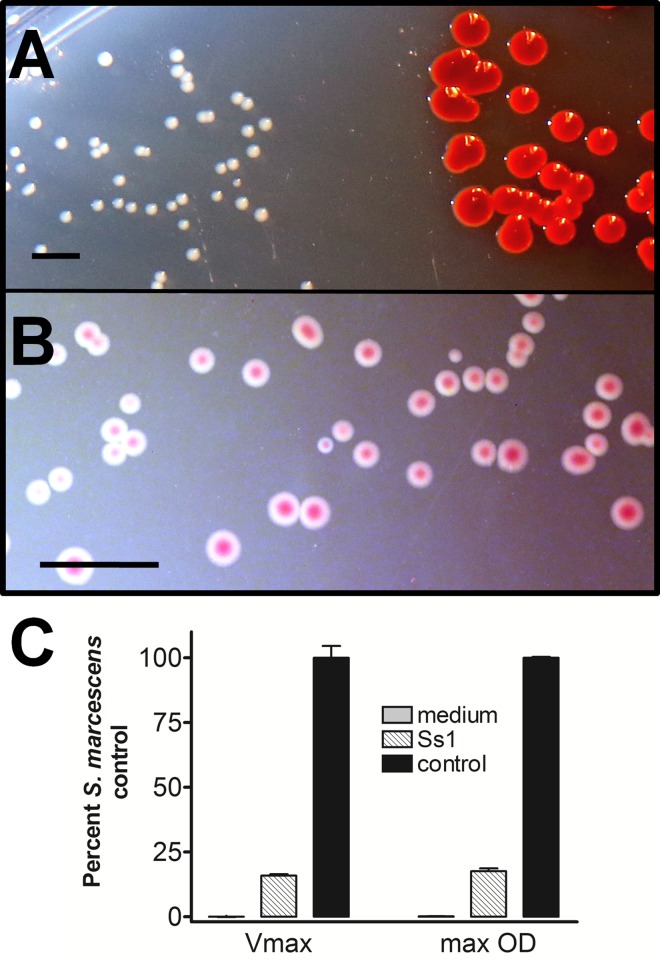 Fig 6