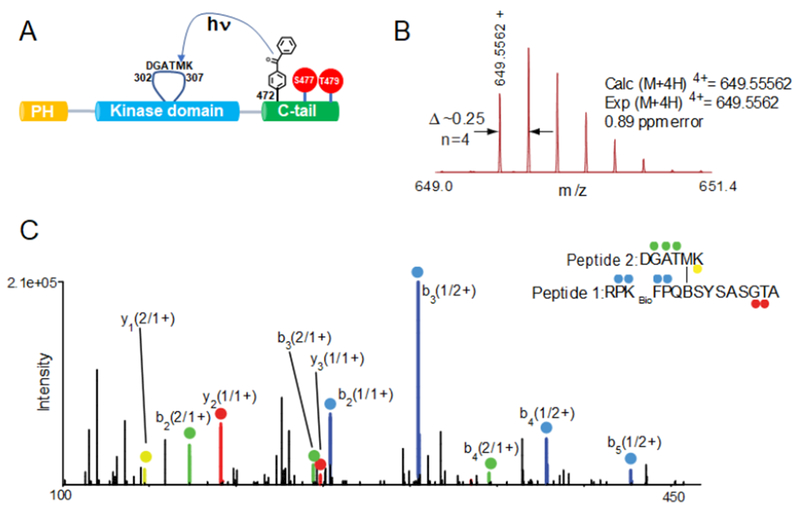 Figure 6.