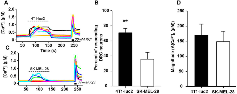 Figure 4: