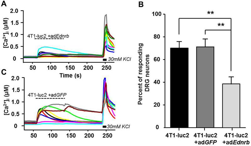 Figure 6: