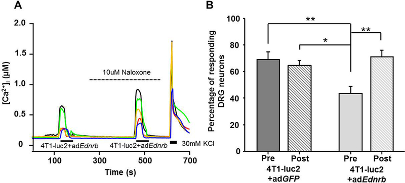 Figure 7: