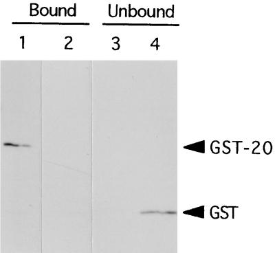 FIG. 6