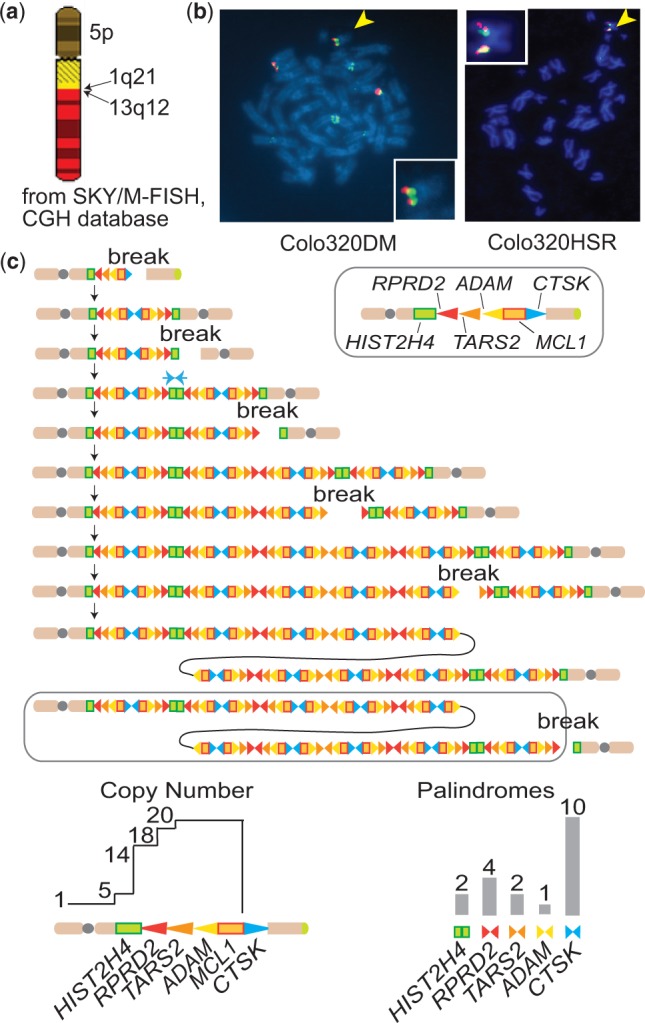 Figure 4.