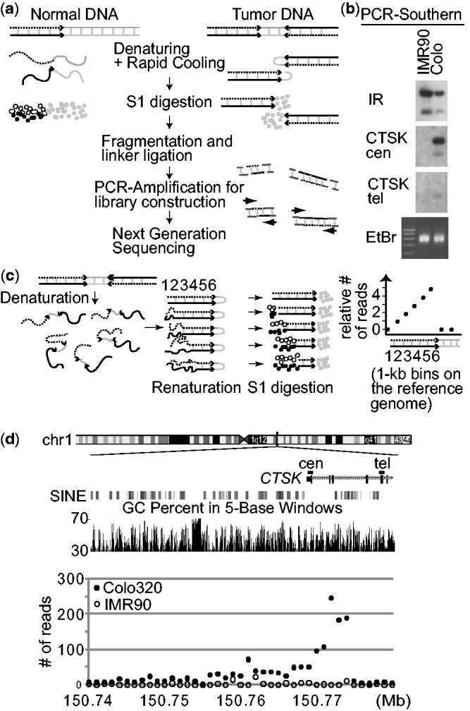 Figure 2.