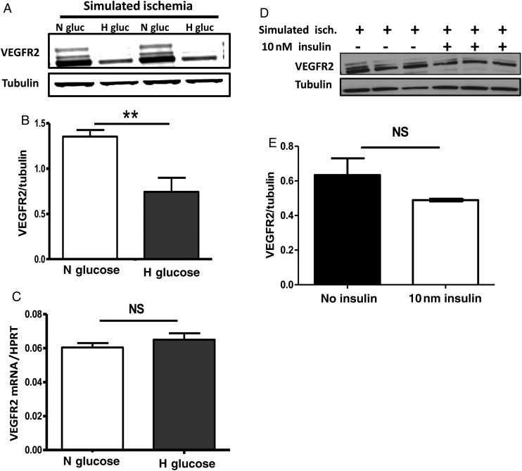 Figure 5