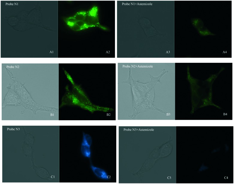 Fig. 3