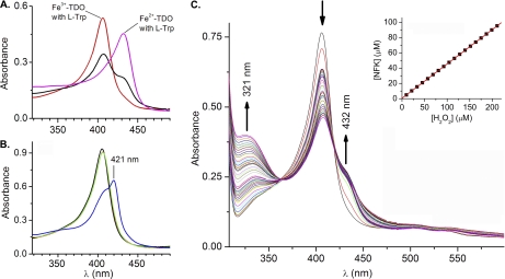 FIGURE 4.