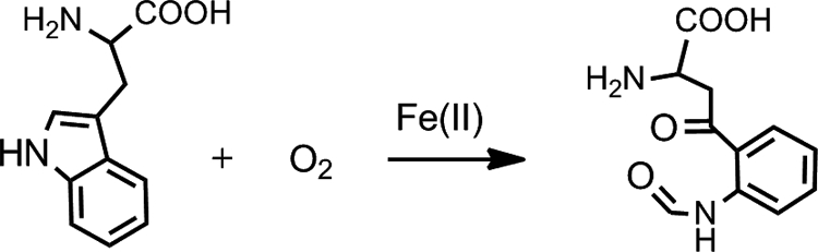 SCHEME 1.