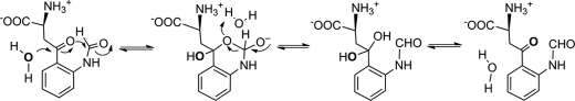 SCHEME 3.