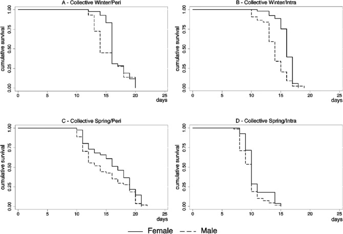 Fig. 4 -