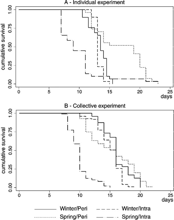 Fig. 2 -