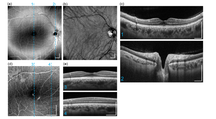 Fig. 6