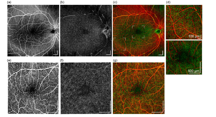 Fig. 7