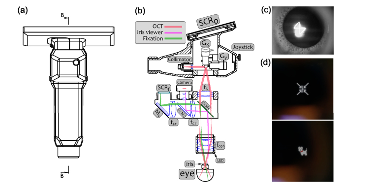 Fig. 3