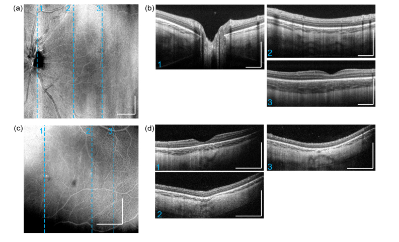 Fig. 8