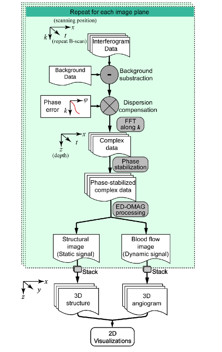 Fig. 4