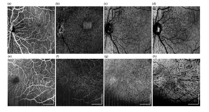 Fig. 9