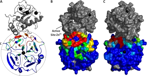 FIGURE 3.