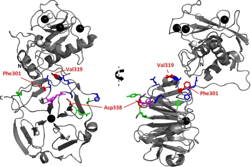 FIGURE 5.