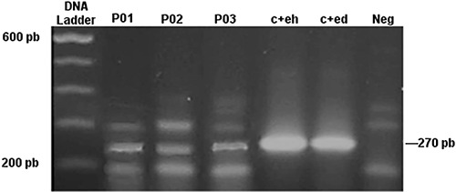 Figure 2