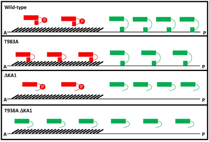 Fig. 8.