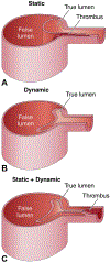 FIGURE 10.