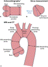 FIGURE 13.