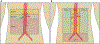 FIGURE 25.