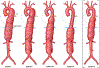 FIGURE 11.