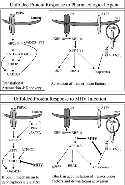 FIG. 7.