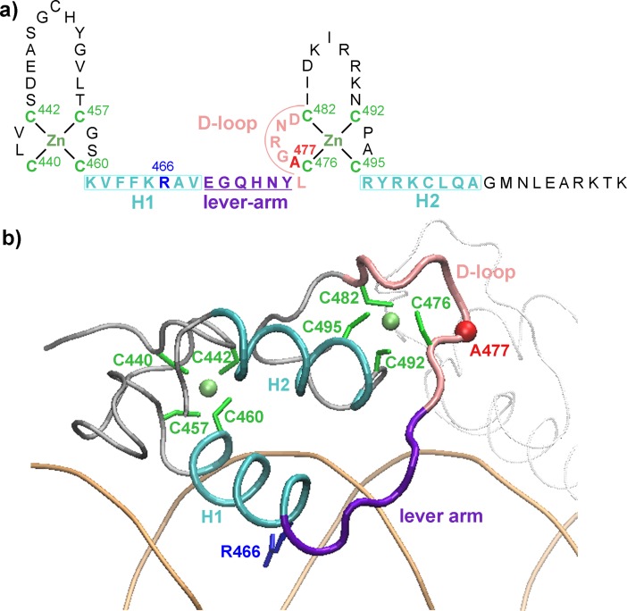 Fig 1