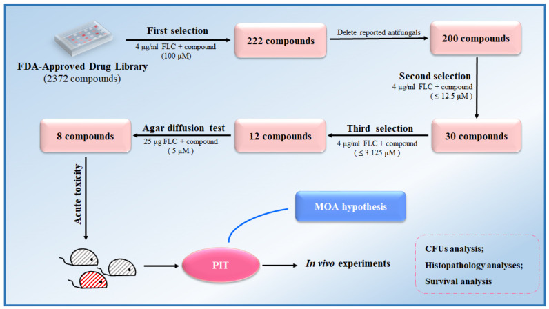 Figure 11