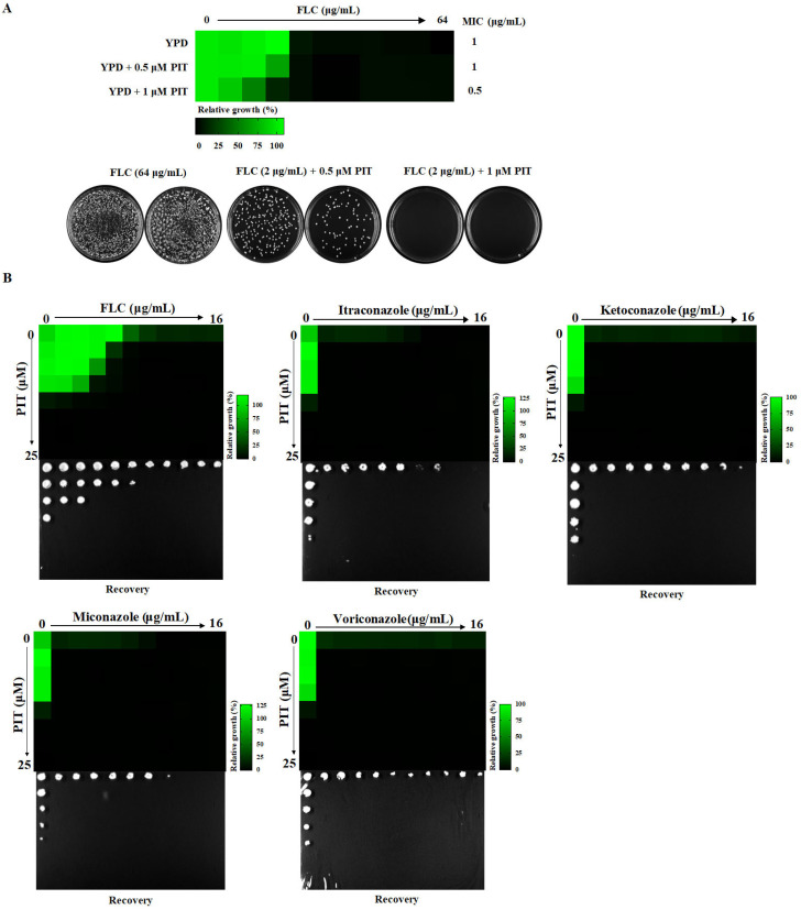 Figure 5