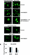 FIG.4.