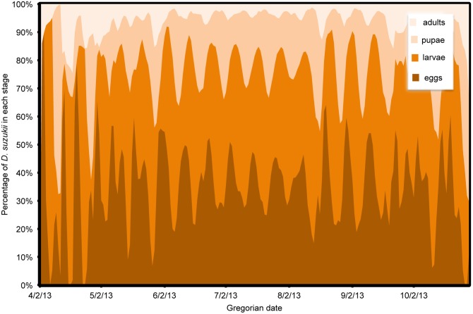 Figure 13