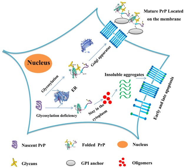 Figure 10