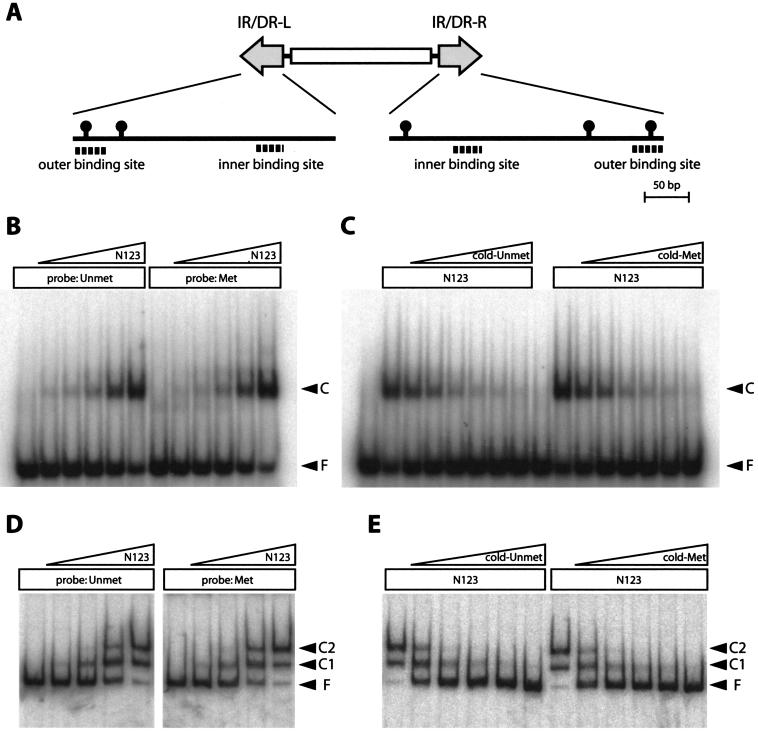 FIG. 6.