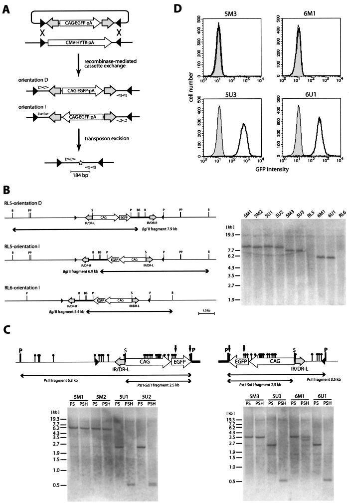 FIG.3.