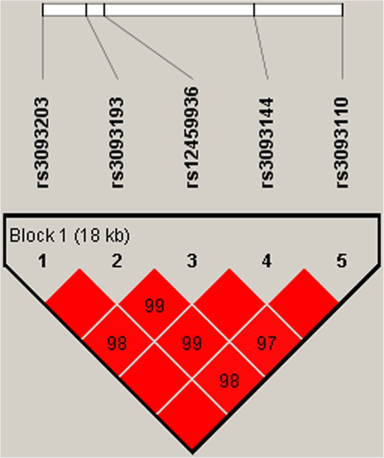 Fig. 1