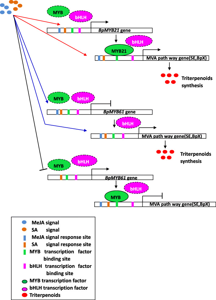 Fig. 16