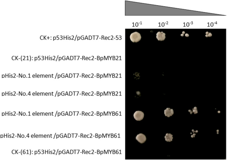 Fig. 15