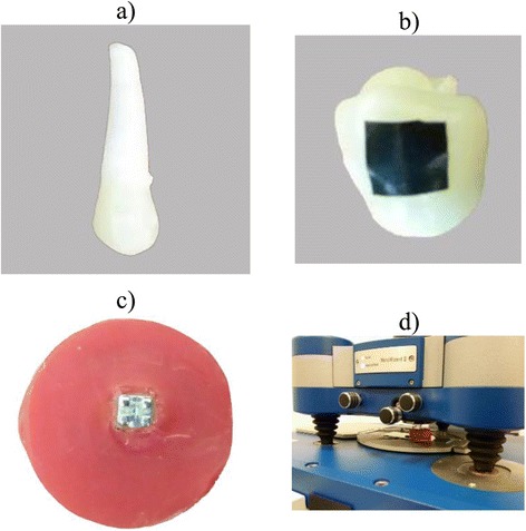 Fig. 1