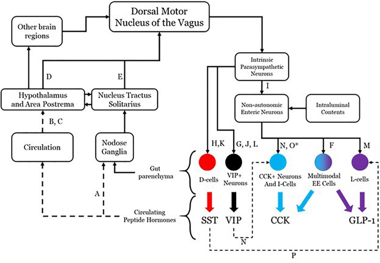 FIGURE 1