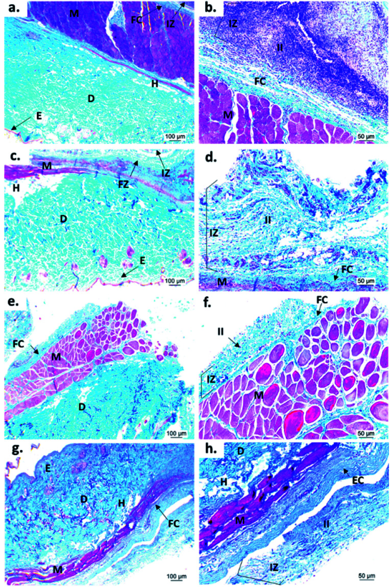 Fig. 10