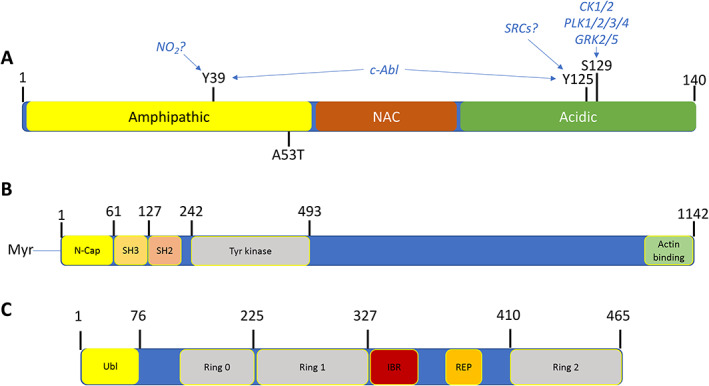 FIG 1