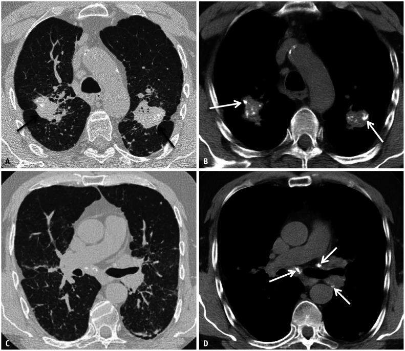 Fig. 10