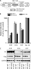 FIG. 1.