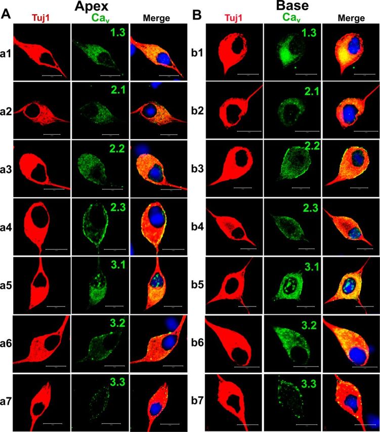 Figure 10.